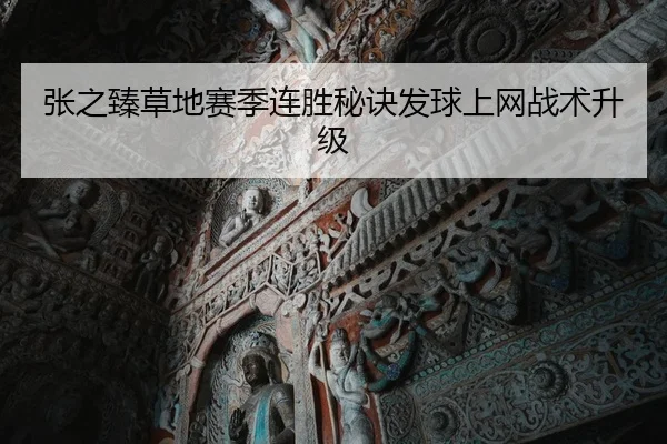 zhang-zhi-zhen-cao-di-sai-ji-lian-sheng-mi-jue-fa-qiu-shang-wang-zhan-shu-sheng-ji-2-598.jpg